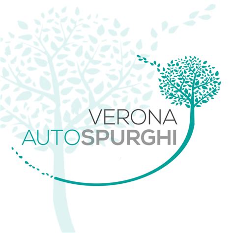 Verona Autospurghi Sommacampagna 